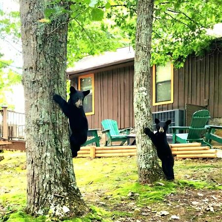 10 Miles Away From The Heart Of It All! Pigeon Forge Zewnętrze zdjęcie